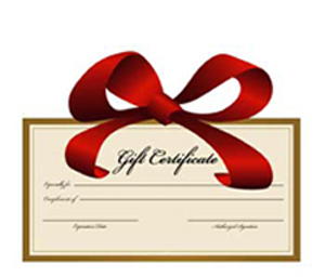 $100 GIFT CERTIFICATE
